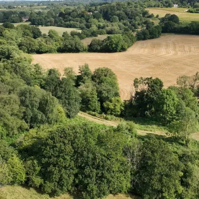 Fields in countryside 