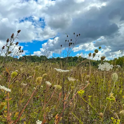 © rumewiphotography