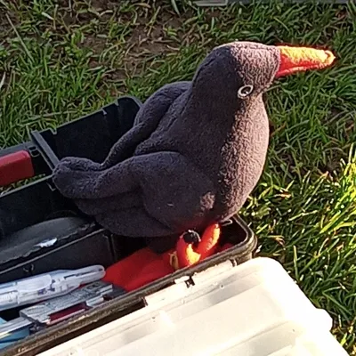 Toy Chough