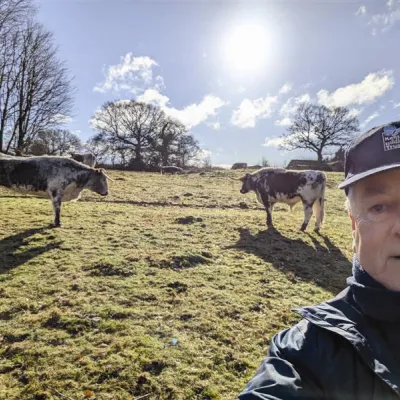 Mark, West Kent area