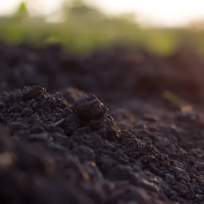 pile of soil against green defocussed background