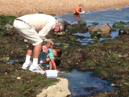 Father and child rock pooling together by Pat Storey