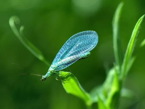 New report calls for ambitious pesticide reduction target | Kent ...