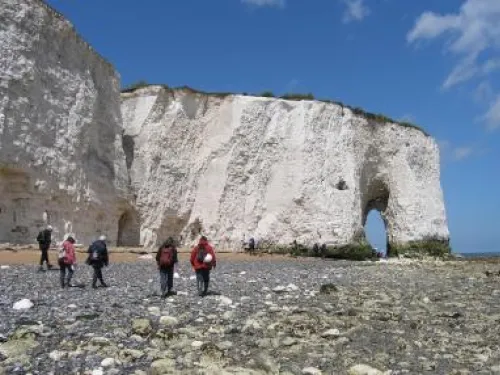 botany bay - bryony chapman