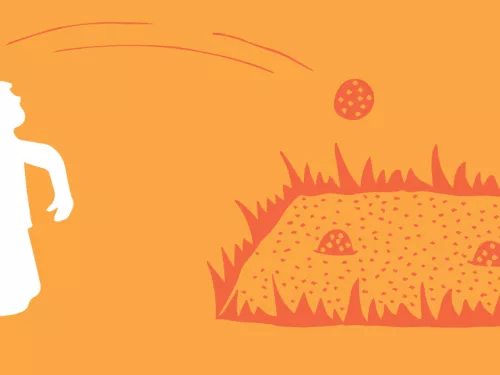 Mini meadow illustration