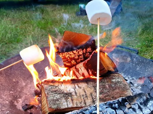 Campfire close up with someone toasting marshmellows over it