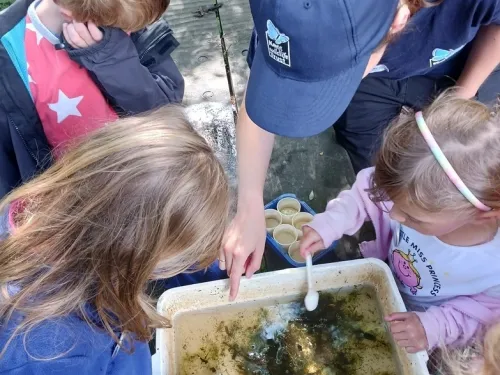 pond dipping finds as tutor looks into water with kids on a wilder holiday club