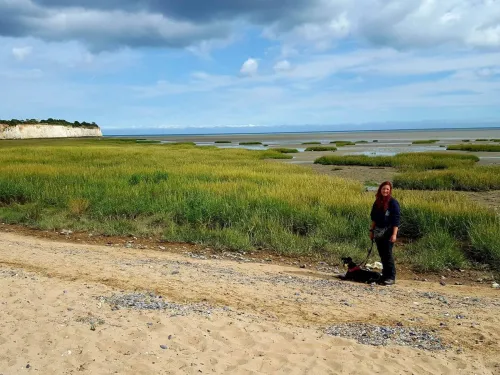 Dog with owner at tidal site.