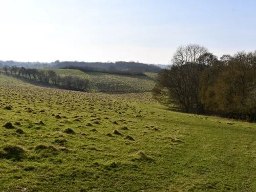 Hoathly Farm landscape