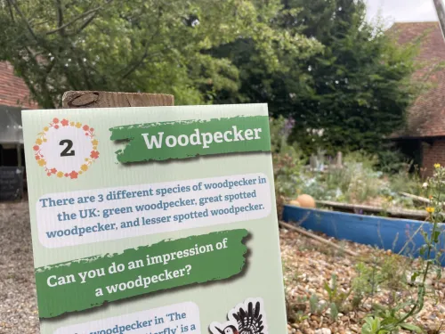 A trail board with information about woodpeckers in the Tyland Barn nature park.