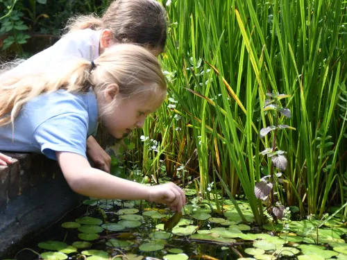 children looking in pond