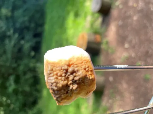 Marshmallow