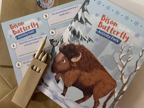 An answer card, puzzle booklet and pack of pencils, featuring Bison from 'the Bison and the Butterfly' book.