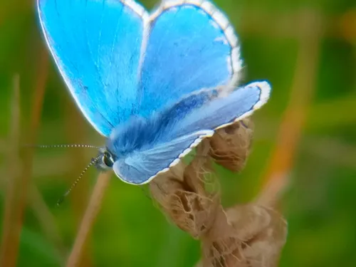 Ecosystem services & how they can save our planet | Kent Wildlife Trust