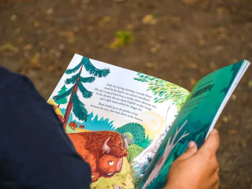 The view over a person's shoulder to a double page spread of an illustrated story book.