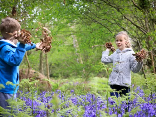 Two children playing with leaves in a bluebell wood