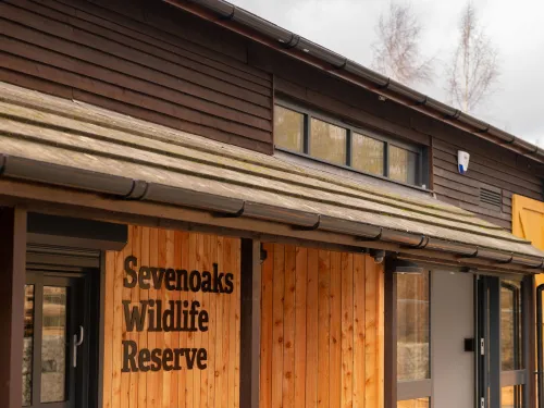 Exterior of Harrison Sevenoaks Visitor Centre