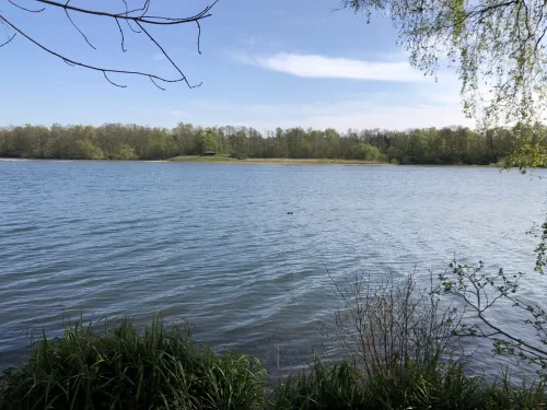 Spring leaves framing a lake at Sevenoaks Wildlife Reserve