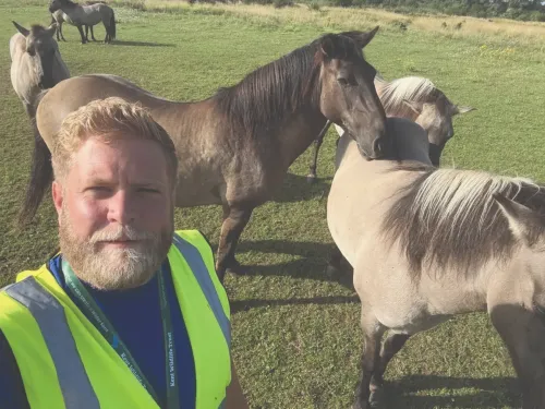 Iain, livestock checker, standing in front of konik ponies.