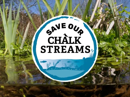 A logo that reads 'Save our chalk streams' in front of an image of a river up close.