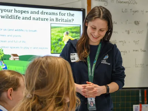 Bella - Wilder Schools