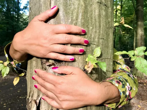 hands tree