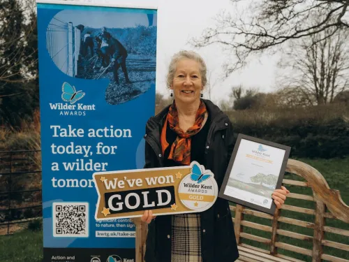 Invicta Sun Club with their Gold Wilder Kent Award.