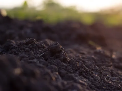 pile of soil against green defocussed background