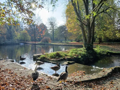 Bradbourne Lakes