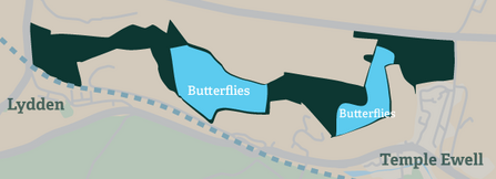 Lydden Temple Ewell butterfly map