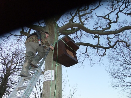 Barn Owl nestbox