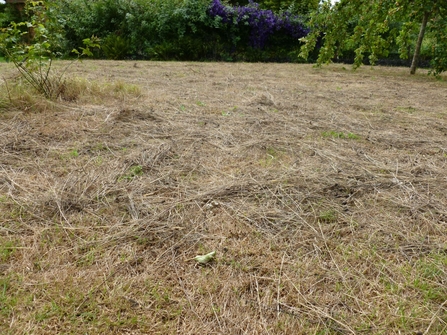 Meadow restoration at Sissinghurst Gardens