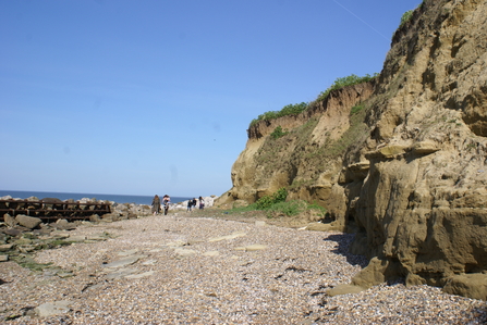Cliffs and beach at Reculver