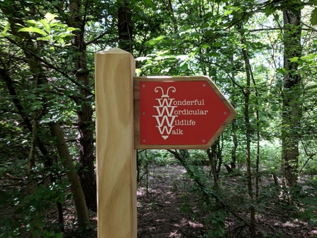 Wonderful Wordicular Wildlife Walk Post