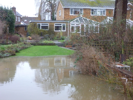 Flooded garden - photograph by P Brook