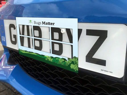Grid position on a car number plate