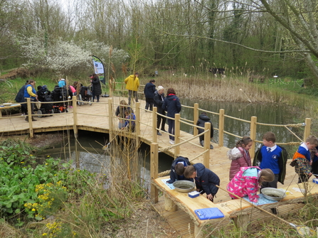 Children Pond Dipping Tyland Barn opening march 22