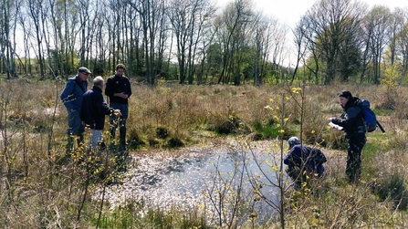 Monitoring at Hothfield Heathlands April 2016