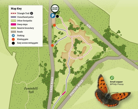Triangle Trail at Hothfield Heathlands map