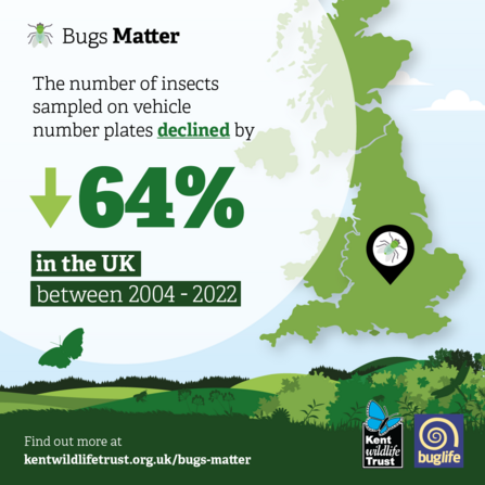 Bugs Matter 2022 UK decline