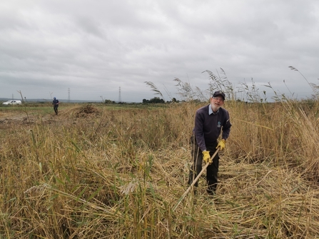 Volunteer cutting and clearing reedbed at Oare