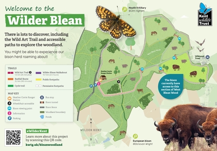 The Wilder Blean Map