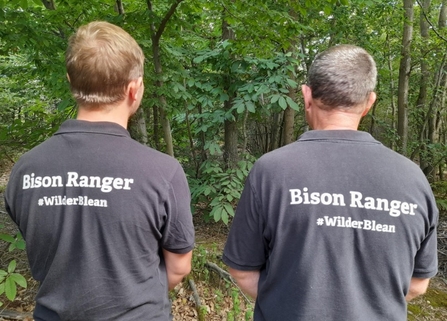 Bison Rangers
