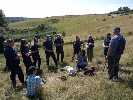People gathered round in a field conducting a dung beetle workshop