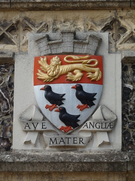 Canterbury Coat of Arms depicting a heraldic leopard (signifying Canterbury's royal status) and three black choughs taken from the arms of Thomas Becket