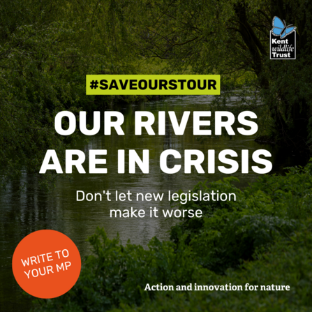 save our stour