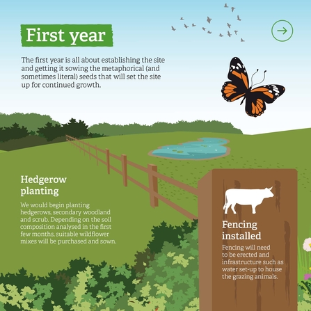 Polhill infographic showing the first years' plans