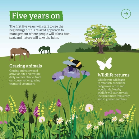 Polhill infographic showing the first five years' plans