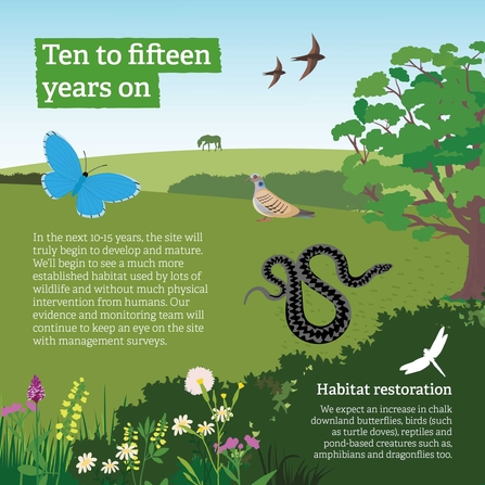 Polhill infographic showing the first ten to fifteen years' plans