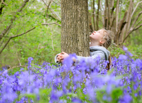 Child hugs a tree in bluebell wood, photo by Tom Marshall
